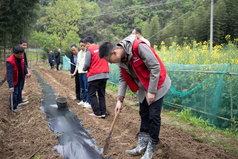 陜西石泉：蘇陜協(xié)作創(chuàng)新科技農(nóng)業(yè) 助力鄉(xiāng)村振興